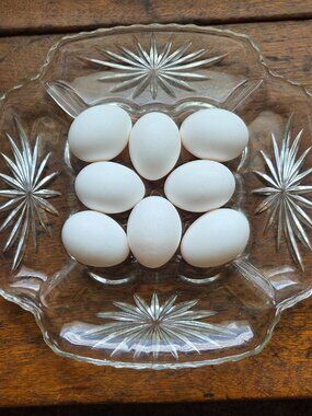 Vtg Prescut Clear Anchor Hocking Plate holds Deviled Eggs & Relish Tray Plate